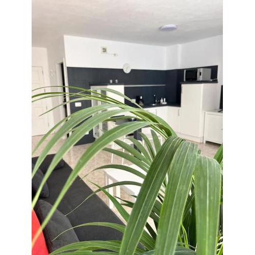 Heyhome Lynn 306