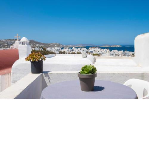 Hibiscus Rosa Mykonos Town Best Location