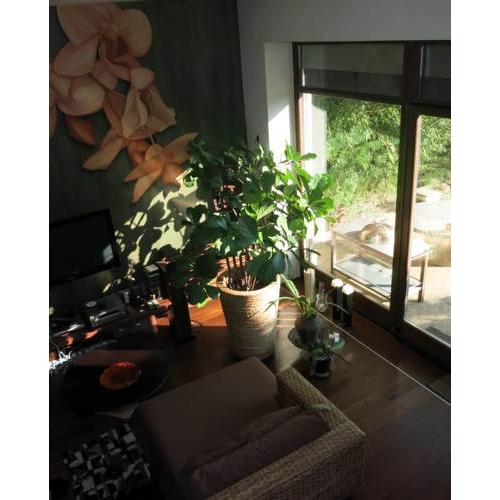 HIP Home Panorama Apartment
