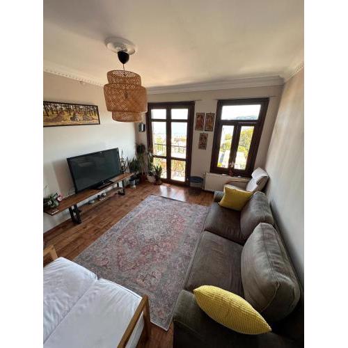 Historic Wooden House with Bosphorus view