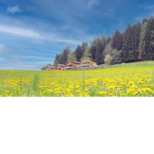 Hochleben-Chalets am Erlebnisbauernhof Steinerhof