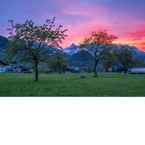Hof im Feld