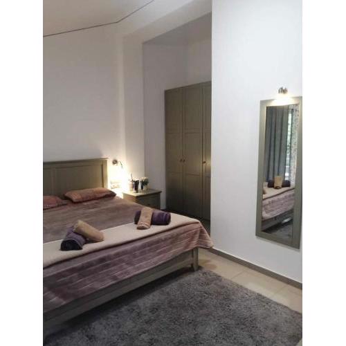 Holiday and Business Home