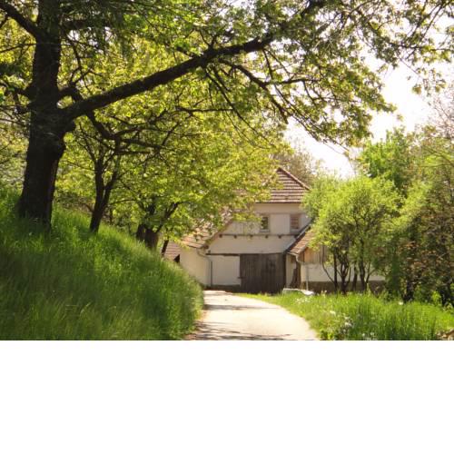 Holiday Barn
