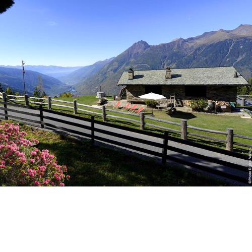 Holiday Creek Mortirolo