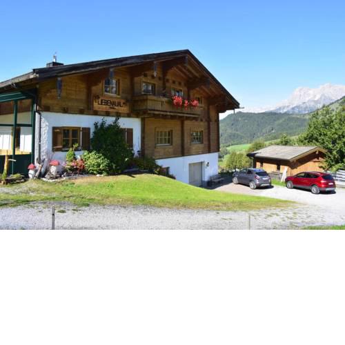 Holiday flats Liebenaualm Dienten - OSB021026-CYA
