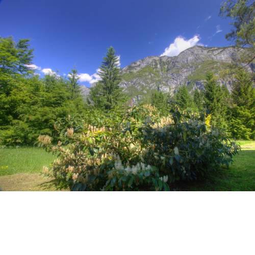 Holiday home Apartment Zupancic 2