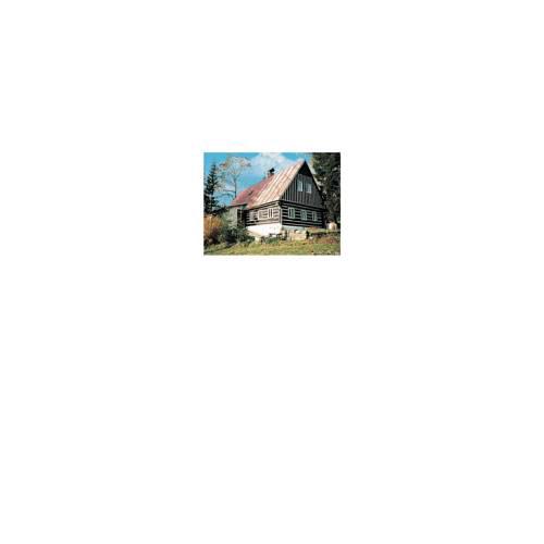 Holiday home Bedrichov