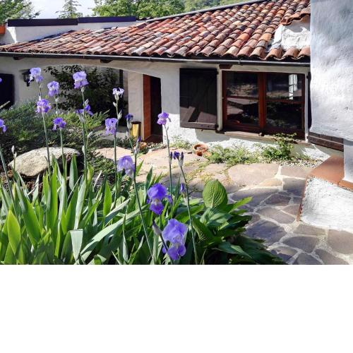 Holiday Home Casa del Pittore by Interhome