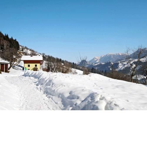 Holiday Home Ferienhaus Harlander (BRG101)
