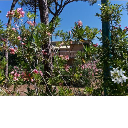 Holiday Home in Grosseto with Balcony Garden Furniture BBQ