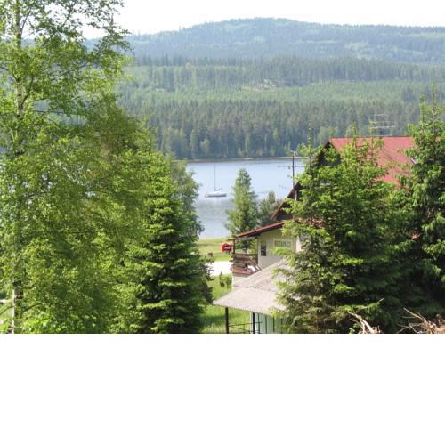 Holiday home in Lojzova Paseka 1940