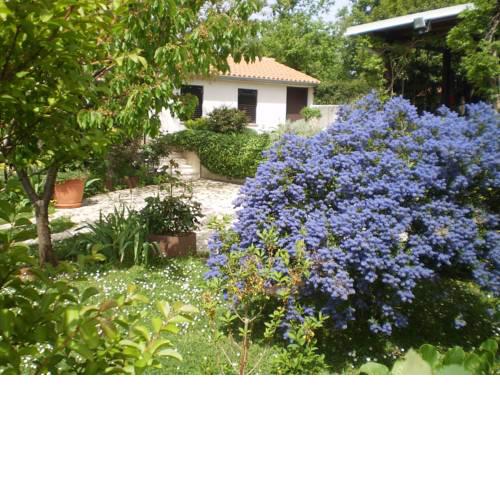 Holiday home in Medulin/Istrien 9196