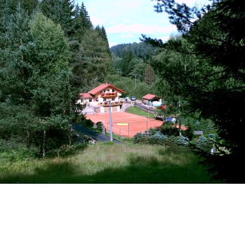 Holiday home in Rotava/Erzgebirge 1649