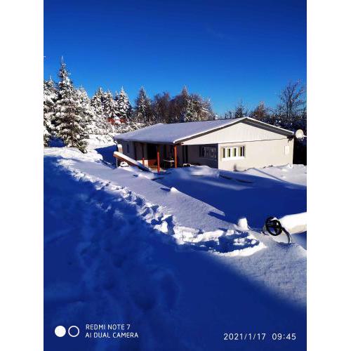 Holiday home in Svahova - Erzgebirge 41640