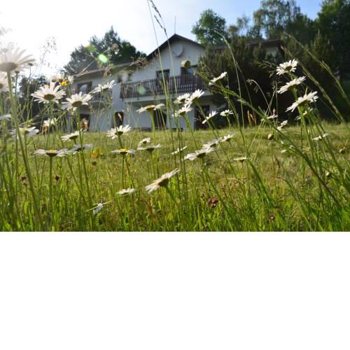 Holiday Home Krásný
