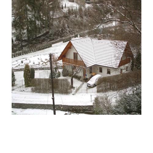 Holiday home Lesni II