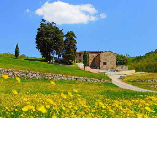 Holiday Home Locazione Turistica Selvapiana by Interhome