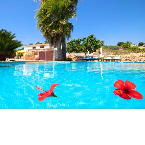 Holiday Home Los Mulet by Interhome