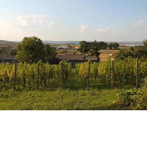 Holiday Home Milovice
