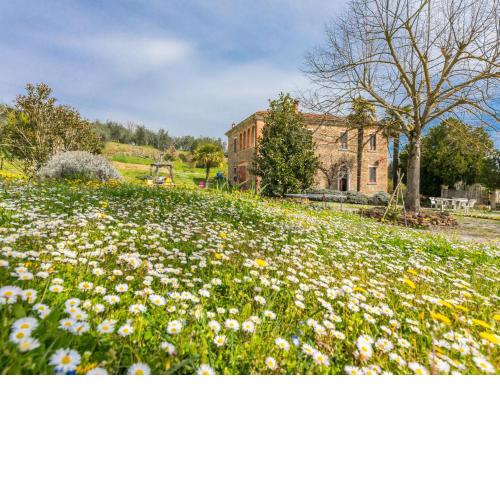 Holiday Home Podere Casina by Interhome