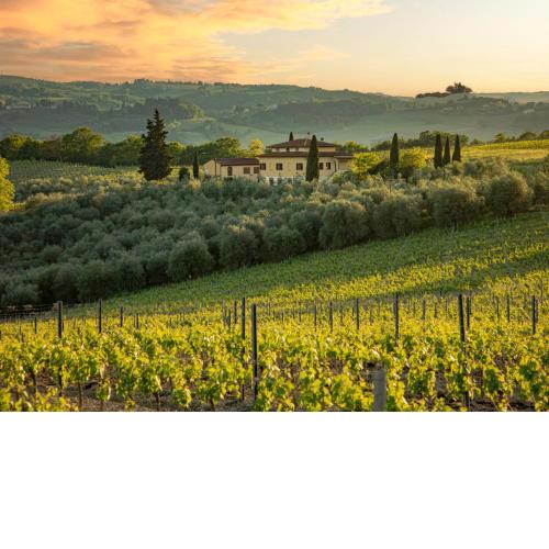 Holiday Home Podere San Michele by Interhome