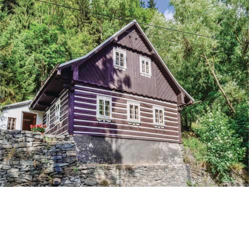 Holiday home Rokytnice N Jizerou