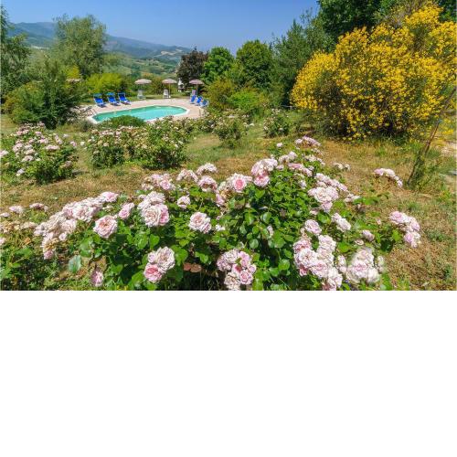 Holiday Home Rondine 06