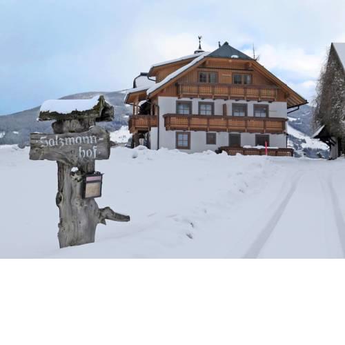 Holiday Home SALZMANNHOF (RMU210)