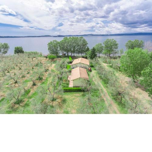 Holiday Home Ulivetto by Interhome