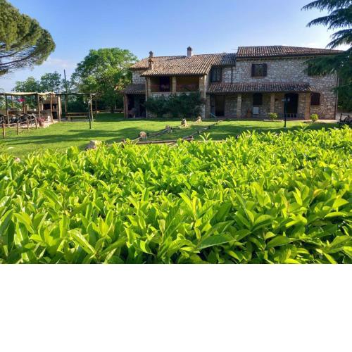 Holiday Home Vepres by Interhome