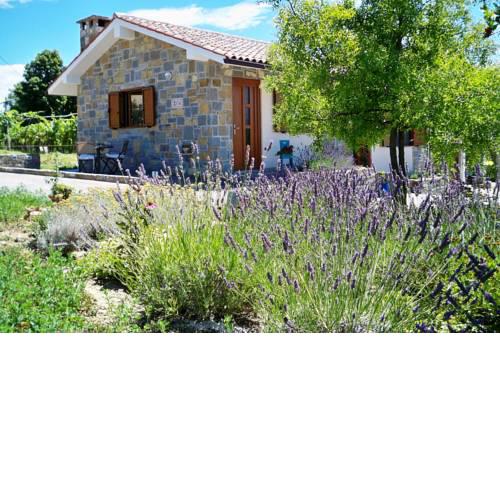 Holiday House Ida