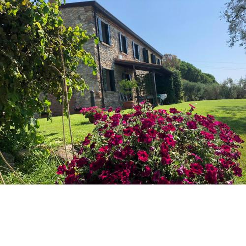 Holiday House Petrarca