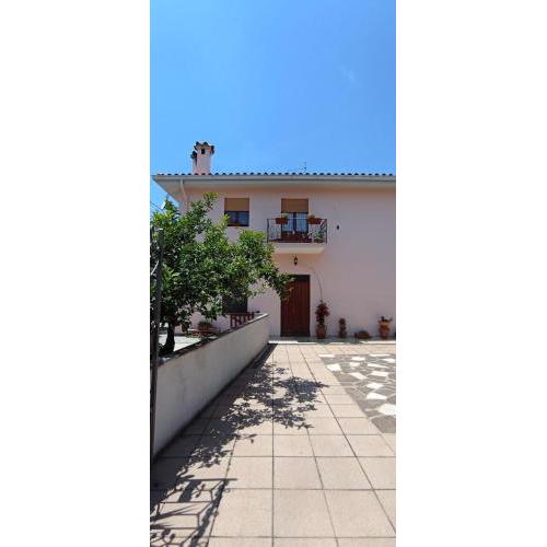 Holiday-house-Saba-Lupino