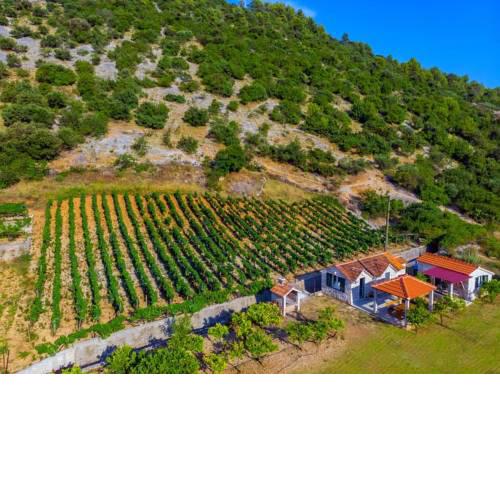 Holiday house with a parking space Postira, Brac - 11886
