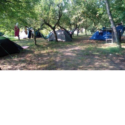 Holiday park - Camping near Venice