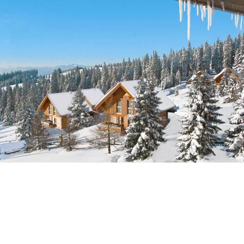 Holiday village Almhüttendorf Weinebene St. Gertraud - OKT07500-FYA