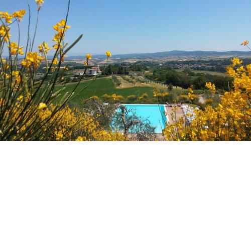 Holidays in apartment with swimming pool in Tuscany Siena