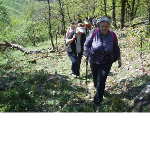 Hollókői Vendégház