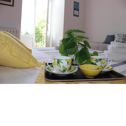 Home Cosma&Damiano