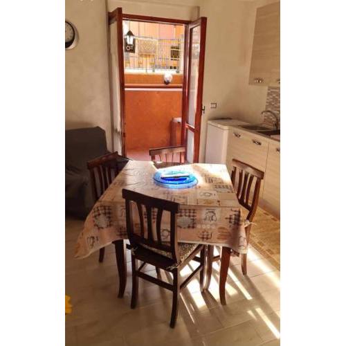 Home dell'orso