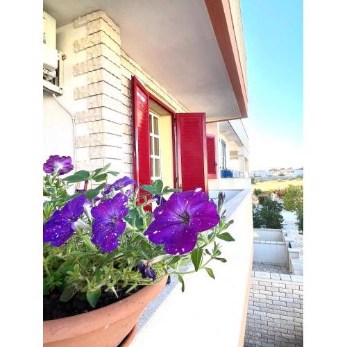 Home in Blue