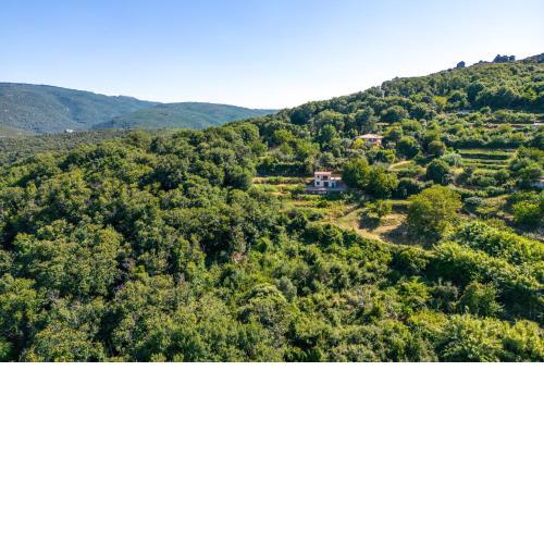 Home on the hill
