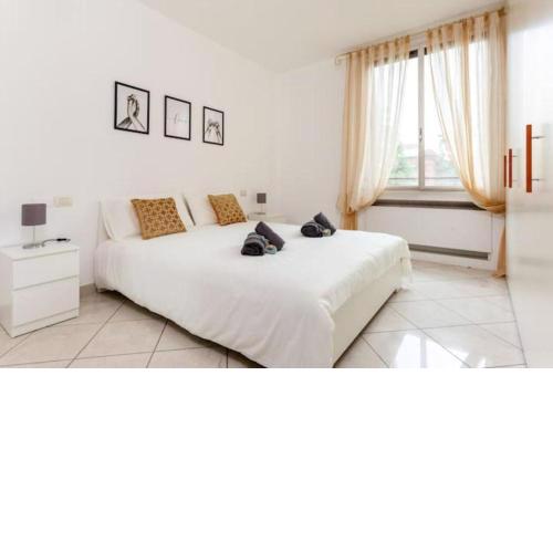 Home & Pet - Parco