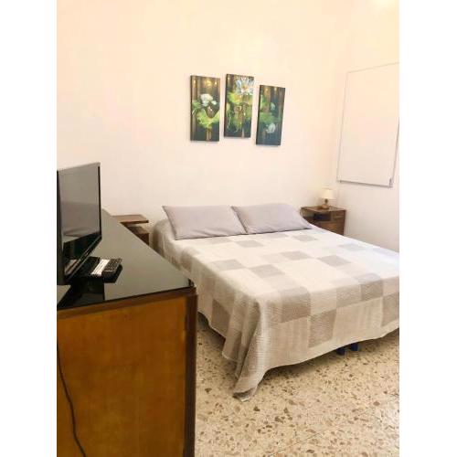 HOME TONINO