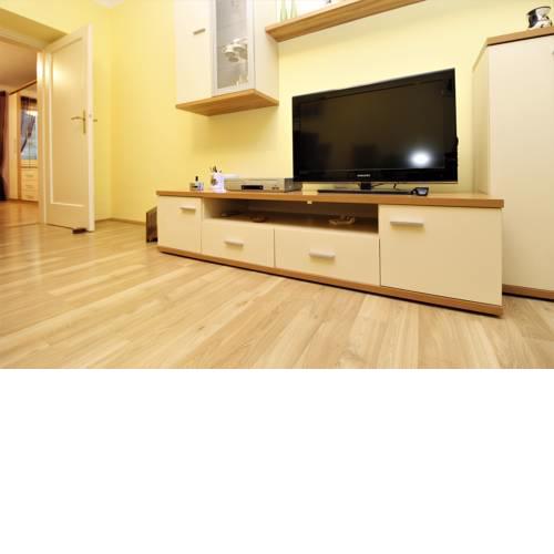 Homely Apartment 15min from Center
