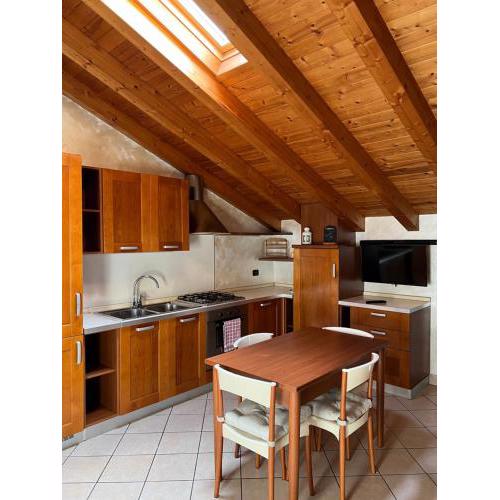 Homely Bondo
