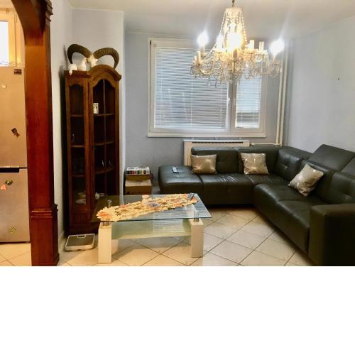 Homestay flat praha
