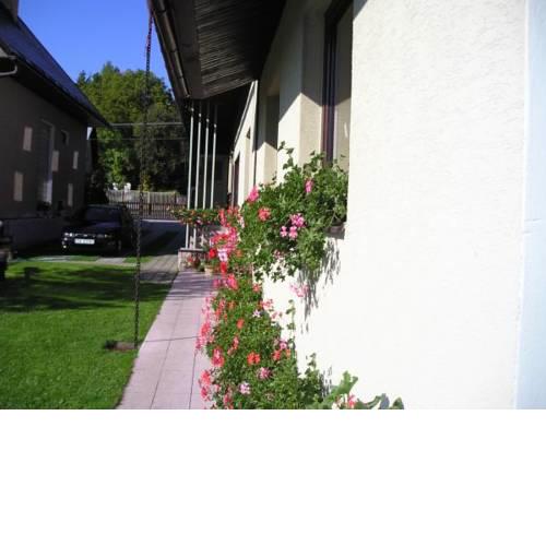Homestay Gustav Halas