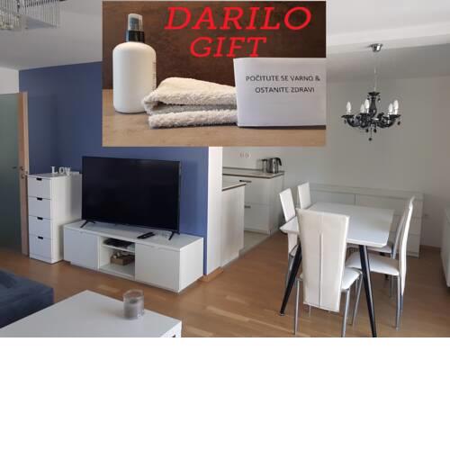 Homey Apartment